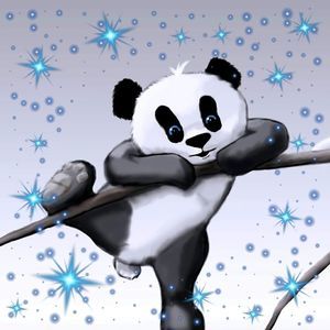 Meet your Posher, Sandy